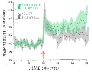 Chart depicting brain response in adolescent mice